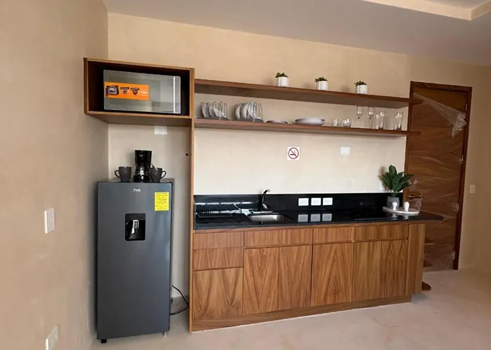 Nuevo Estudio Con Rooftop Y Alberca Cerca De La 5a Av Y Playa