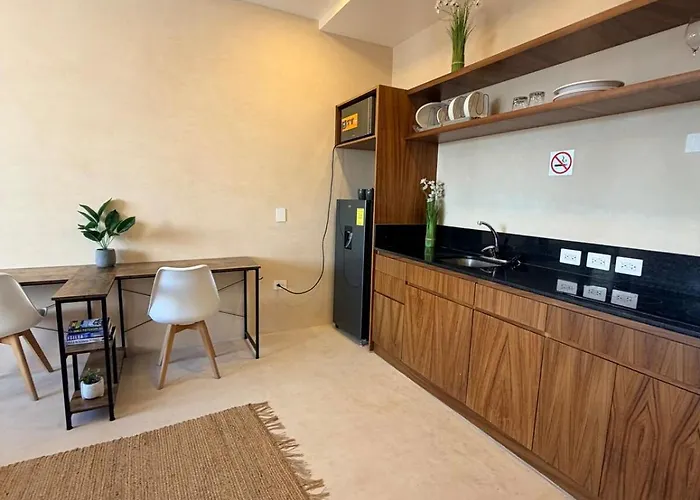 Nuevo Estudio Con Rooftop Y Alberca Cerca De La 5a Av Y Playa Apartment